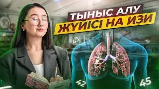 Тыныс алу жүйісі на изи | ҰБТ Биология