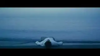 Mandroid Echostar - Paladin (Official Video)