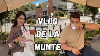 Daily Vlog // Ce am facut in “Luna de Miere”🤍