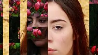 SHA Visual Arts: Advanced Photography