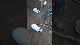 28 июля 2023 г.