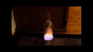 Jesse Holleran - Whoosh Bottle