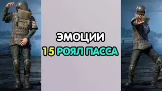 PUBG MOBILE: Эмоции 15 сезона роял пасс