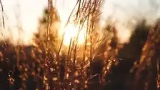 ТАФИКИ ИЛОХИ