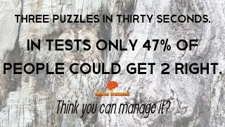 Three persistent puzzles to displease your intuition.