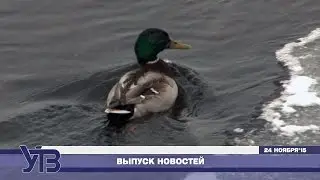 В эфире 