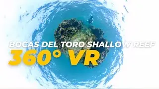 360° VR Exploration of Bocas del Toro's Shallow Reefs