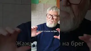Свежемороженый хек