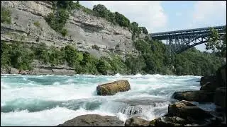☄️best natur voice and nature video whatsapp status @editernik  mood fresh 👌 #dhimanbrother