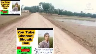 Machle ka tlb مچھلی کا تالاب