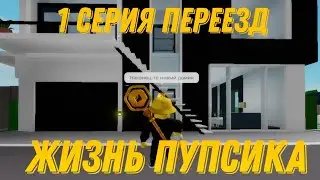 Жизнь пупсика 1 серия Переезд