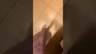Girl take shit in bathroom nothing else 