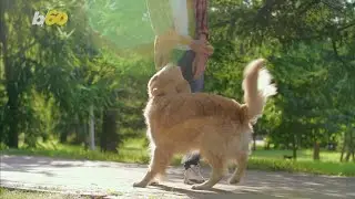 Here's What Your Choice Of Pet Says About Your Personality