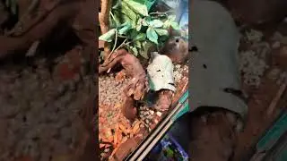 Хе