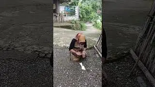 mencoba menghidupkan burung mati