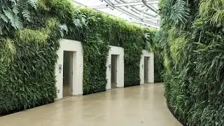 Green Walls & Buildings Around the World