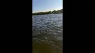 Огромная рыбка на Волге. Рыбалка с лодки в Астрахани