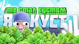 ПРАНК: Я ПРЕВРАТИЛСЯ В КУСТ И ЗАТРОЛЛИЛ ИГРОКОВ на НАМАЛЬСК РП (SAMP/CRMP)