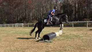 Get Ahead Now first field ride first jumps 10 31 24