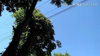 😠Обещали убрать..😠.. Обещалкины😠