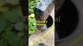 L'autunno è il miglior momento per la messa in opera delle trappole.....prima del letargo invernale💪
