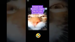 АХААХААХ