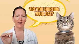 Are Flea Collars Dangerous for Cats? A Vet Explains
