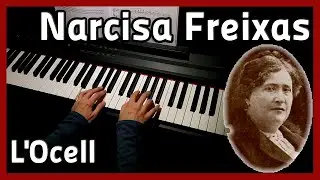 🎵 Narcisa Freixas | L'Ocell 🎵 Piano