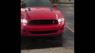 Red Mustang GT in the Rain 💦💦 #shorts #YouTubeShorts #car