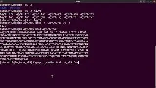 Prokka Tutorial genome annotation output files