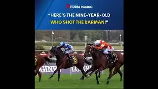Who Shot the Barman - 2018 Sydney Cup