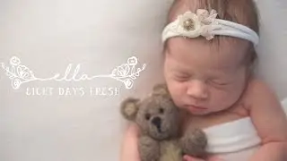 Pink Owl Studios | Ella | Katy Texas Newborn Photographer