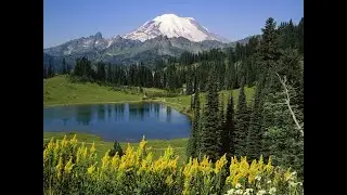 Module-1:Basic Concept of Ecology and Environment-V Sem Open Course-Microbes and Environment