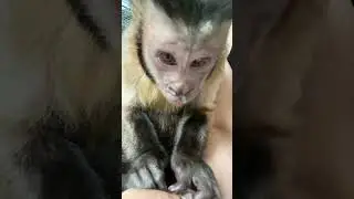 Проша к вам стучится )) 