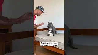 Quando Quero Pegar o Brinquedo da Maori 😅🤣 