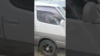 Китайский хохлатая