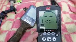 Сравнение Equinox 600 и Equinox 800