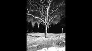 Photo Composition | Depth of Field