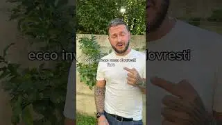 App per la Cura delle piante 😒😵‍💫
