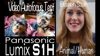 Panasonic Lumix S1H Autofocus Human/Animal Test (Video)-Elizabeth South