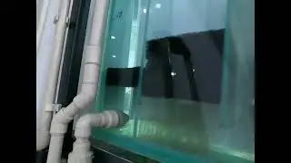 Filtration in ADC aquariums