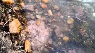 г.Карпинск. Разрез 