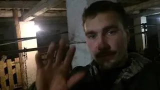 Почему мы избавляемся от коров.