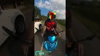 rayap2