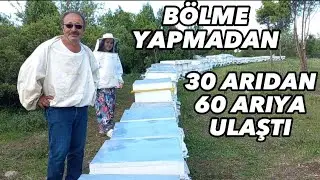 Bölme yapmadan 60 kovana çıkarttı. 