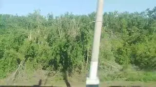 Сулин — Зверево из окна поезда / Sulin - Zverevo from the train window