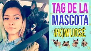 Tag de la Mascota 🐶 