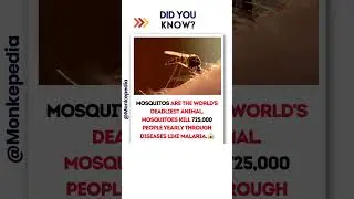 Fatal Mosquito Bites 😷| #didyouknow  #amazing #facts #shorts #ytshorts #Mosquitoes #HealthRisk