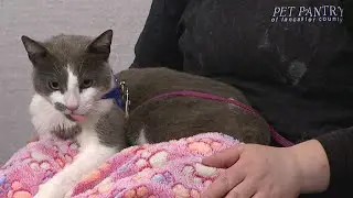 Pet on the Set | Meet Asher, this week's Furry Friend!