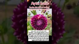 Aytul Kursi